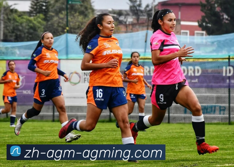 AG娱乐登录APP 高清赛事图